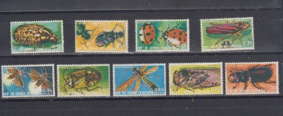 A12 S3 10 - Timbre foarte vechi - Guineea Ecuatoriala - insecte foto