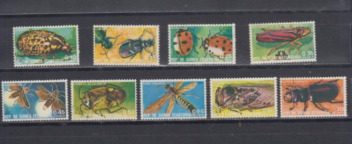 A12 S3 10 - Timbre foarte vechi - Guineea Ecuatoriala - insecte