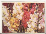 Bnk cld Calendar de buzunar 1978 - Uzina Tractorul Brasov
