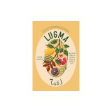 Lugmeh: A Feast of Middle Eastern Dishes