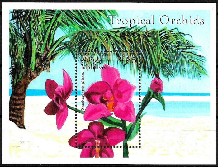 MALDIVES 2000 FLORI ORHIDEE