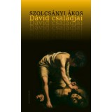 D&aacute;vid csal&aacute;djai - Szolcs&aacute;nyi &Aacute;kos, 2023
