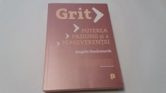 GRIT PUTEREA PASIUNII SI A PERSEVERENTEI - Angela Duckworth RF11/0