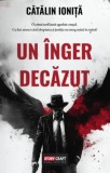 Un inger decazut - Editura Stepout