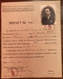 A10 D1 - 1939 - Brevet certificare absolvire curs Aparare pasiva de catre un profesor de la Liceul Militar Craiova