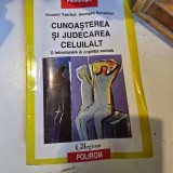 Cunoasterea si judecarea celuilalt - Vincent Yzerbyt