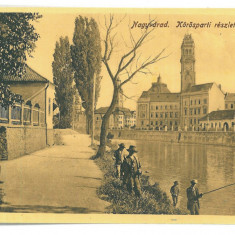 4420 - ORADEA, Fishermen, Romania - old postcard - unused - 1916