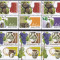 2010 LP 1884 LP 1884 e EM COMUNA ROMANIA CIPRU VITICULTURA 3 SERII+3 VINIETE MNH