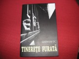 Tinerete furata - Gherasim Tic