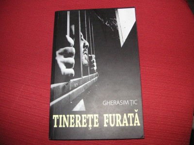 Tinerete furata - Gherasim Tic foto