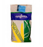 Seminte Porumb SY ZEPHIR FAO 390 sac 50 000, Syngenta