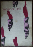 CATALOG SALVADOR DALI: RETROSPECTIVE 1920-1980/CENTRE GEORGES POMPIDOU(416 pag.)