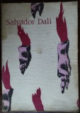 Cumpara ieftin CATALOG SALVADOR DALI: RETROSPECTIVE 1920-1980/CENTRE GEORGES POMPIDOU(416 pag.)