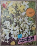 Revista Cutezatorii 8 martie 1984, BD Mesajul ep. 10