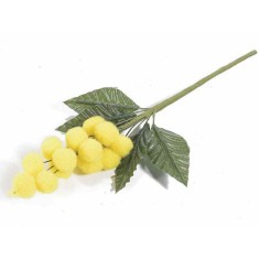 Crenguta Mimoza galbena verde cm 20 H