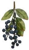 Cumpara ieftin Decoratiune Craciun - Blue Berries | Kaemingk