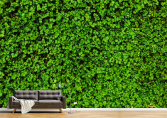 Tapet Premium Canvas - Covorul verde foto