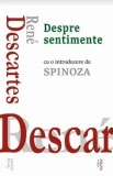 Despre sentimente/Rene Descartes, Cartex