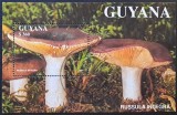 Ciuperci - Guyana 1991 - Coliță Poștală Russula integra (Ștampilată / CTO) CP1_II