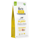 Brit Care Sustainable Puppy, XS-XL, Pui și Insecte, hrană uscată c&acirc;ini junior, sistem digestiv, 12kg