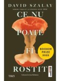 Cumpara ieftin Ce nu poate fi rostit/David Szalay