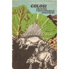 Colosi Printre Vietuitoarele Stravechi - N. Meszaros, I. Petrescu