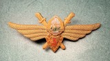 Insigna pilot militar Romania 1968 clasa 3 varianta cifra mare RSR