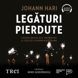 Cumpara ieftin Legături pierdute. Cauze reale ale depresiei și soluții surprinzătoare - Audiobook - Johann Hari