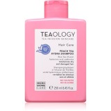 Teaology Peach Tea Hydra Shampoo sampon hidratant pentru &icirc;ntărirea părului deteriorat 250 ml
