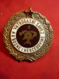 Insigna- Medalie - Pompieri Bosnia Hertegovina , d=4cm ,metal si email