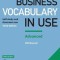 Business Vocabulary in Use: Advanced Book with Answers and Enhanced eBook: Self-Study and Classroom Use