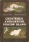 Foto  - 1
