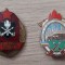 Lot doua insigne paza contra incendiilor / 20 ani f.p.c.i.