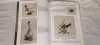 Catalog Album Casa de licitații Bufniță Art - Auction &amp; Varia -licitatii
