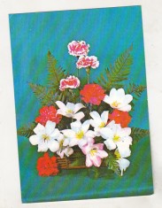bnk cp Felicitare - Flori - 0203/79 - uzata - marca fixa