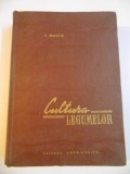 CULTURA LEGUMELOR , VOL. II de I. MAIER , 1963