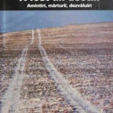 A fost un destin. Amintiri, marturii, dezvaluiri - Serban Radulescu-Zoner