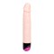Vibrator Multi-speed 24cm