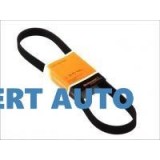 Curea alternator 6pk1520 Seat Arosa (1997-2004)[6H]
