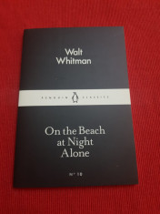 On the beach at night alone - Walt Whitman foto