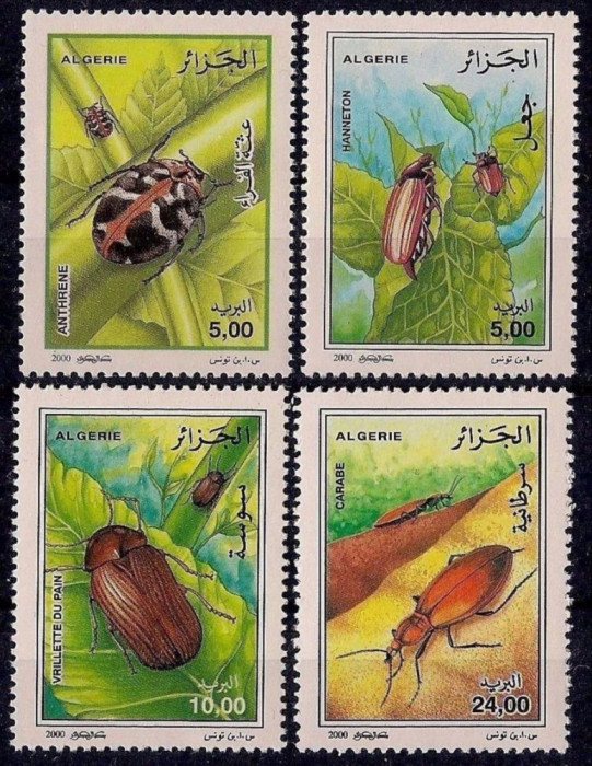 ALGERIA 2000 INSECTE