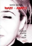 Sorin Dinco, Mari-Ameli