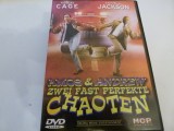 Chaoten, dvd