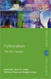 Cyberculture | Douglas Schuler, David V.J. Bell, Brian D Loader, Nicholas Pleace