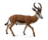 Antilopa Springbok L - Animal figurina, Collecta