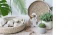 Set 3 cosuri din iarba de mare pentru depozitare cu maner