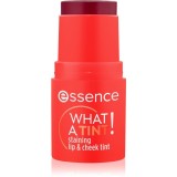 essence WHAT A TINT! fard multifuncțional, pentru buze și obraz culoare 20 Grapefruit Bliss 5 g