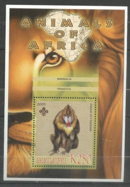 Malawi 2005 Wild Animals, Africa, Monkeys, perf. sheet, MNH S.223