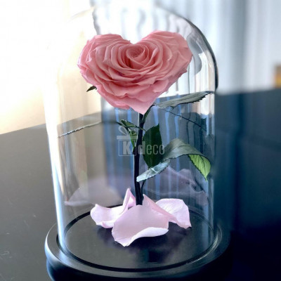 Trandafir Criogenat roz inima &amp;Oslash;9cm in cupola sticla 17x28cm foto