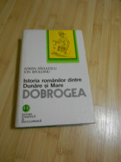 ADRIAN RADULESCU--ISTORIA ROMANILOR DINTRE DUNARE SI MARE - DOBROGEA foto